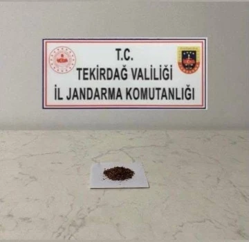 Tekirdağ’da uyuşturucu operasyonları
