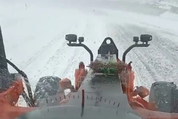 Tendürek Geçidi tipi nedeniyle trafiğe kapatıldı