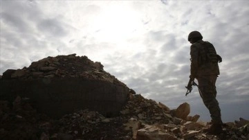 Terör örgütünden kaçan 2 PKK'lı ikna yoluyla teslim oldu