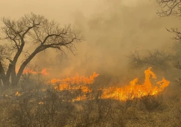 Texas’taki orman yangınlarında 1 kişi hayatını kaybetti
