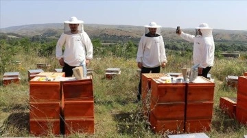 TİKA’dan Kuzey Makedonya’daki arıcılara destek