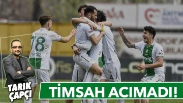 TİMSAH ACIMADI! 