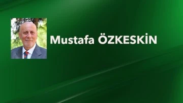 TİMSAH OTOBANA ÇIKTI