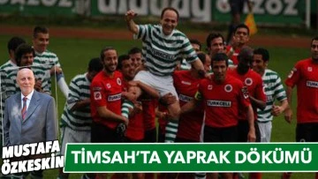 TİMSAH’TA YAPRAK DÖKÜMÜ