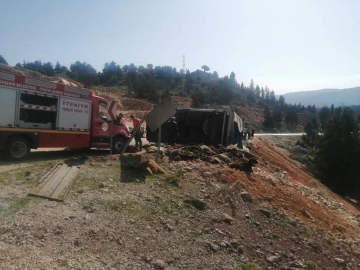 Tır devrildi, 60 hayvan telef oldu
