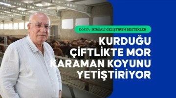 TKDK desteğiyle kurduğu çiftlikte mor Karaman koyunu yetiştiriyor