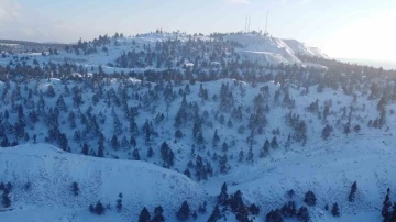 Toroslar beyaz gelinliğini giydi, izlemesi keyif veren görüntüler çıktı
