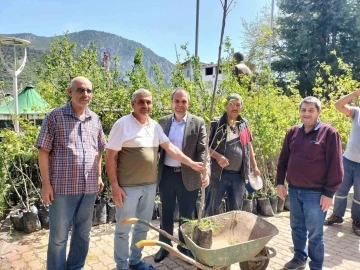 Trabzon hurma fidanı dağıtıldı
