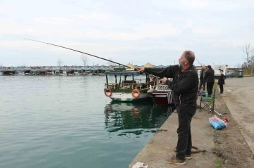 Trabzon’un kaçak somonları Rizelilerin yüzünü güldürüyor