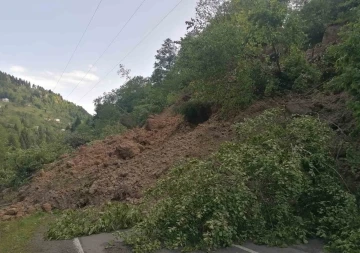 Trabzon’un Şalpazarı ilçesinde heyelan
