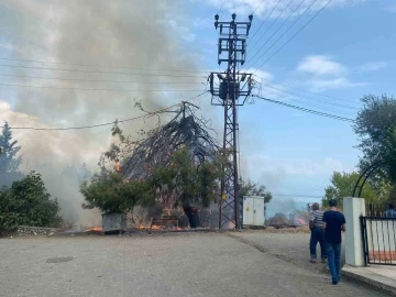 Trafo patladı, ağaçlar ve otluk alan alev aldı
