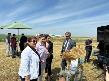 Tritikale Tanıtım ve Tarla Günü’nde hasat yapıldı
