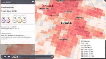 TÜİK, "grid" detayında nüfus istatistiklerini paylaşıma açtı