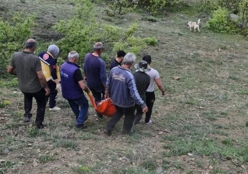 Tunceli’de ayının saldırısına uğrayan adam yaralandı
