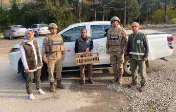 Tunceli’de el konulan kınalı keklikler doğal ortamına bırakıldı
