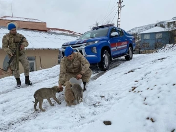 Jandarmadan yürekleri ısıtan davranış