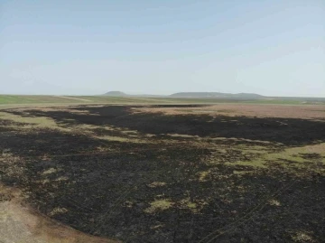 Türkiye’nin 13. Ramsar alanıydı çöle döndü