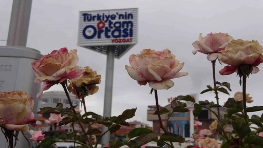 “Türkiye’nin tam ortası Yozgat” totemleri dikkat çekiyor
