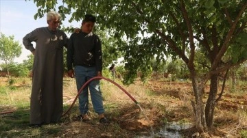 Türkiye'den Tel Abyad'a geri dönen Suriyeliler, hayatlarını yeniden kurmaya başladı