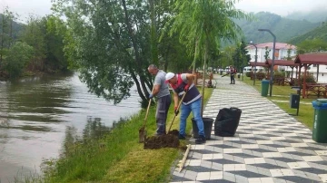 Turnasuyu Kordon Park’ta yeşillendirme çalışmaları başlatıldı
