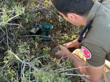 Tuzağa takılmış nesli tükenmekte olan kılavuz bıldırcınını polis kurtardı
