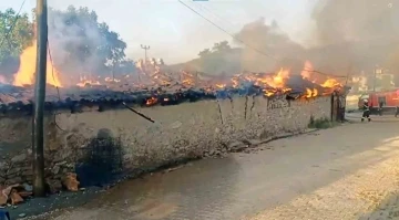 Ula’da korkutan yangın
