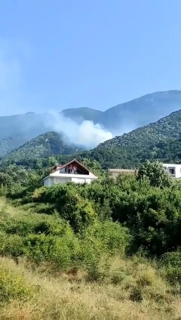 Uludağ’ın eteklerinde orman yangını
