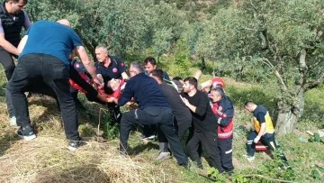 Üniversite öğrencilerini taşıyan tur otobüsü şarampole devrildi: Çok sayıda yaralı var! 