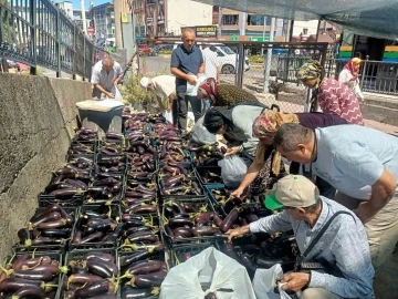 Üretim fazlası 5 ton patlıcanı yüzlerce kişiye bedava dağıttılar
