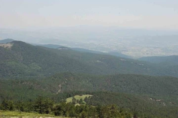 Uşak’ta ormanlık alanlara girişler kısıtlandı
