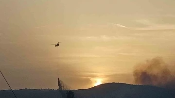 Uşak’ta tarım arazisinde başlayan yangın ormanlık alana sıçradı
