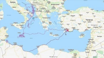 Uydu takibinde izlenen "Caretta Caretta Tuba" 20 bin kilometre yol gitti