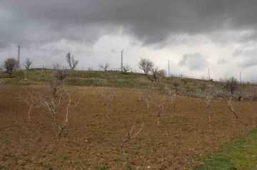 Uykuları kaçan çiftçinin yüzünü son günlerdeki yağışlar güldürdü
