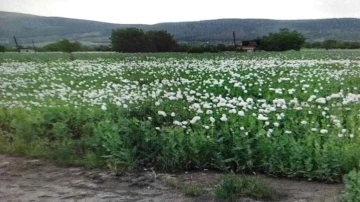 Uyuşturucu tacirlerine Denizli’de büyük darbe
