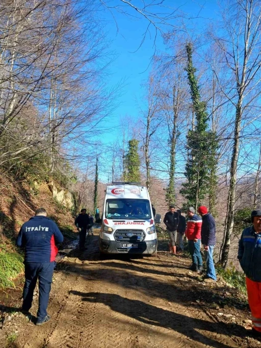 Üzerine tomruk devrilen işçi yaralandı
