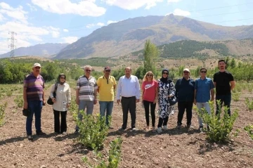 “Uzman Eller” projesinden hibe alan mühendis, aronya yetiştiriyor
