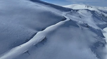 Uzungöl’ün zirvelerinde dronla tilkiyi saniye saniye takip etti
