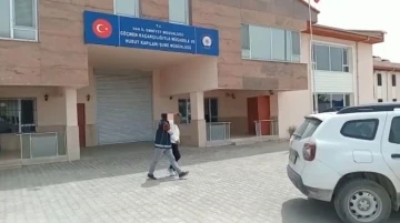 Van’da 1 organizatör tutuklandı
