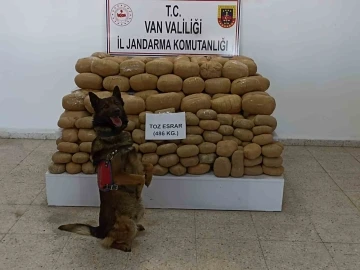 Van’da 486 kilogram toz esrar ele geçirildi
