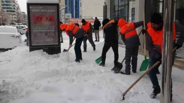 Van’da buruk kar sevinci