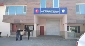 Van’da göçmen kaçakçılığı operasyonu
