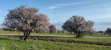 Van’da iki mevsim bir arada
