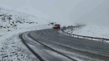 Van’da kar yağışı etkili oluyor
