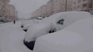 Van’da kar yağışı hayatı felç etti
