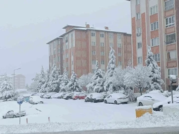 Van’da karla gelen güzellik
