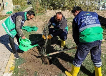 Van’daki 13 mezarlık alanına 3 bin 400 ağacın dikimine başlandı
