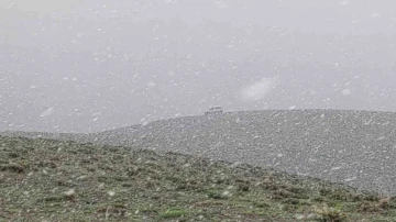 Van’ın yüksek kesimlerinde mayıs ayında lapa lapa kar yağdı
