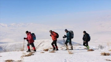 Van'da dağcılar 2 bin 800 rakımlı Hayal Dağı'na tırmandı