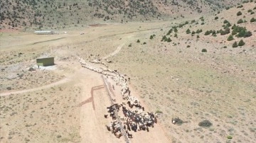 Van'da hayvanların otlatıldığı yayla güneş enerjisiyle suya kavuşturuldu