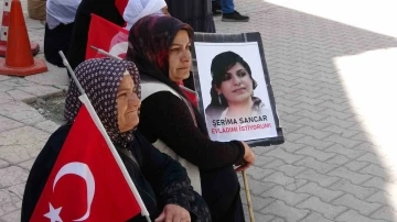 Vanlı anne: “O ceza Selahattin Demirtaş’a azdır”
